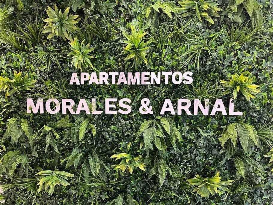 XX D Apartamentos Morales & Arnal Ronda Esterno foto